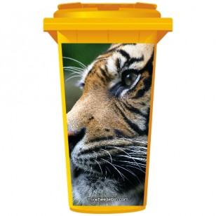 Big Cat Tigers Face Wheelie Bin Sticker Panel